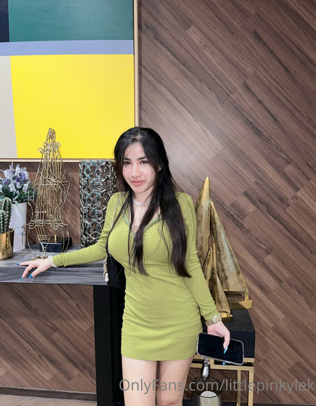 littlepinkylek pornstar beautiful galleries