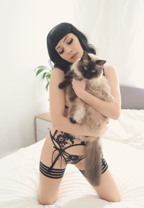 hard onlyfans nice images