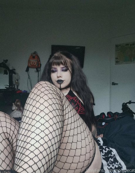 step sister onlyfans pornos archive