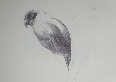 two onlyfans perfect image