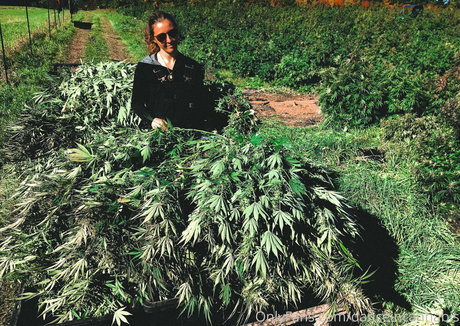 asian petite onlyfans sexy nudes pictures