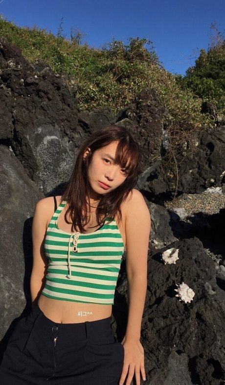 Yunjinpet adult star img
