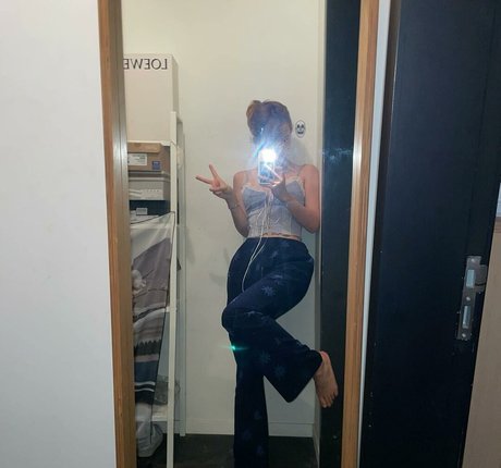 Yunjinpet exclusive star gallery