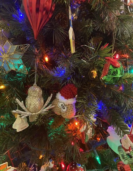 Jaclynn Crooks star free img