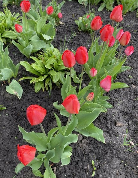 beautiful face onlyfans free picture