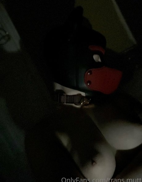 trans mutt pornstar pic