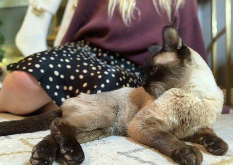 freebunbun beautiful pornstar pic