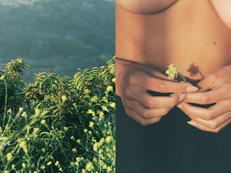 boner onlyfans xxx images