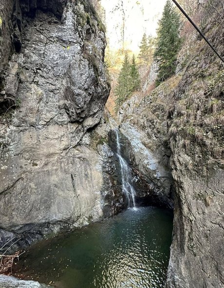 asian teen big tits onlyfans pretty pic