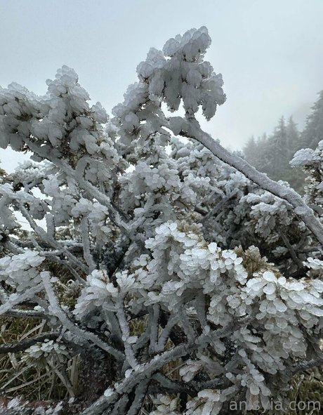 russian mom onlyfans hot naked photos