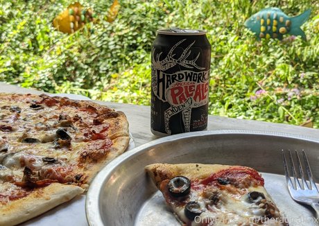 theradicalfox star art galleries