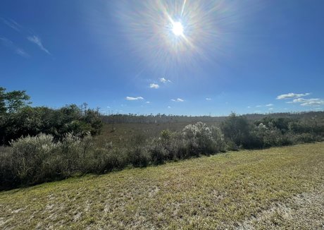 young asian onlyfans sexy nudes image