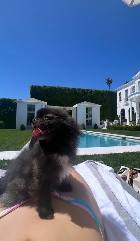 red hair onlyfans adult gallery