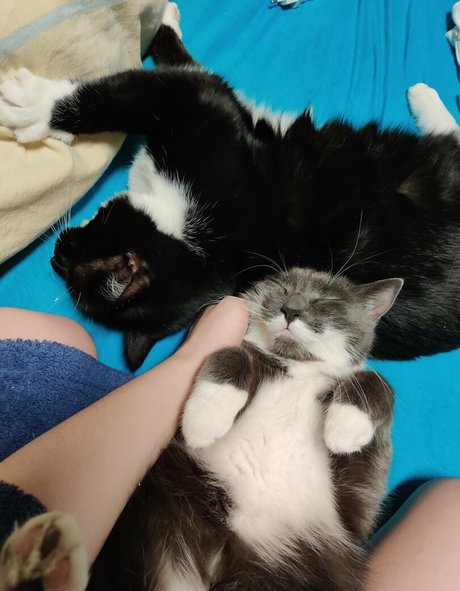 pussy tattoo onlyfans free nude gallery