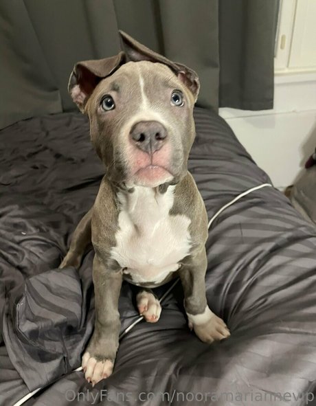 murukissa model hd pic