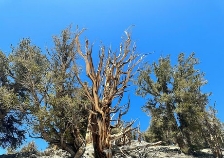 flat onlyfans beautiful porn images