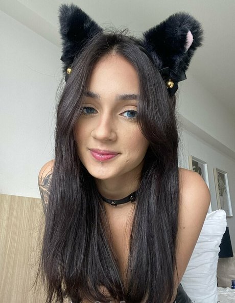 xalisonfox art star gallery