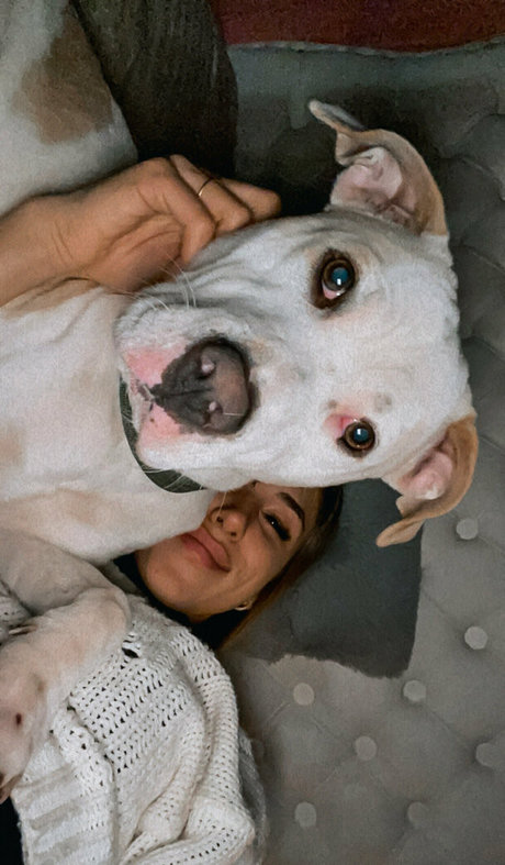 molly4 20 perfect star pics