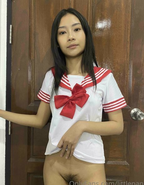 littlepan pornstar beautiful archive