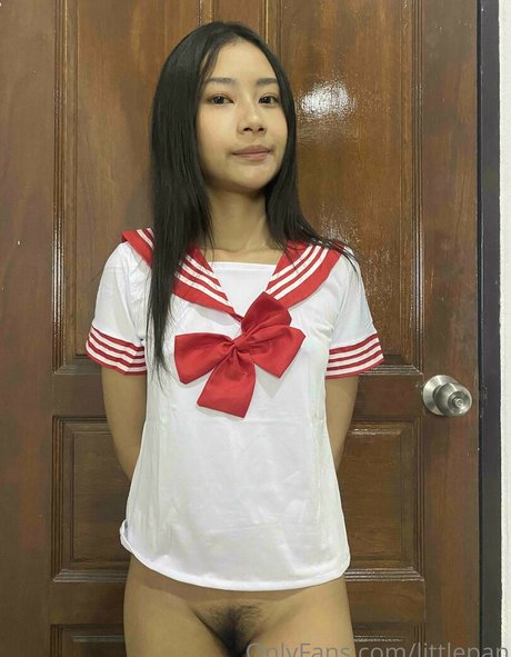 littlepan model top photo