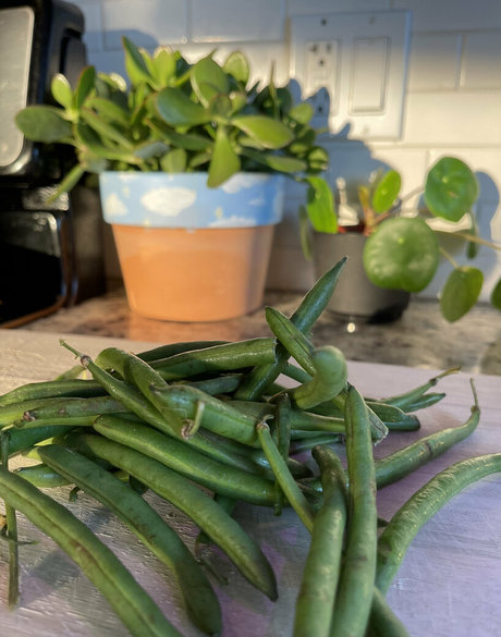 chubby nude onlyfans beautiful nude archive