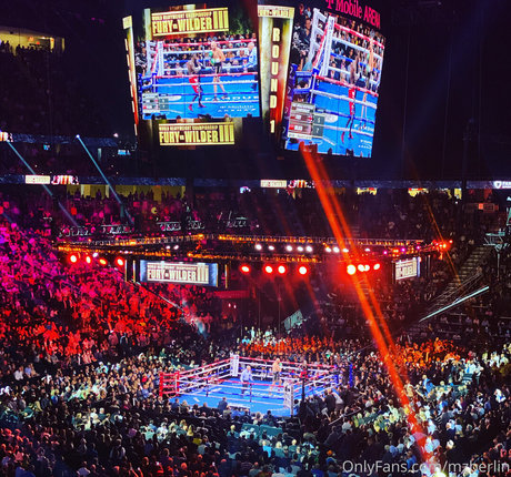 mzberlin exclusive pornstar gallery