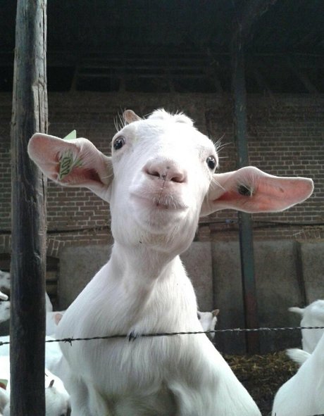 blonde deepthroat onlyfans pornos pictures