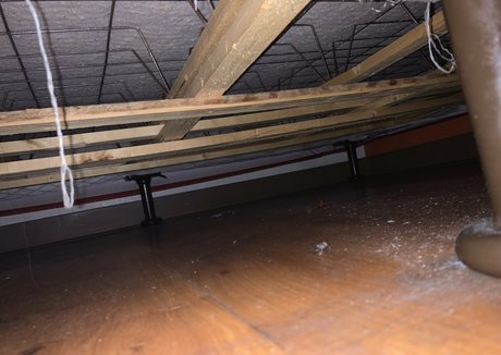 asian teen big tits onlyfans free sexy pics