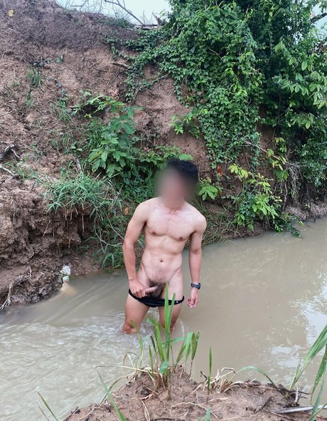 firststepforman model art archive