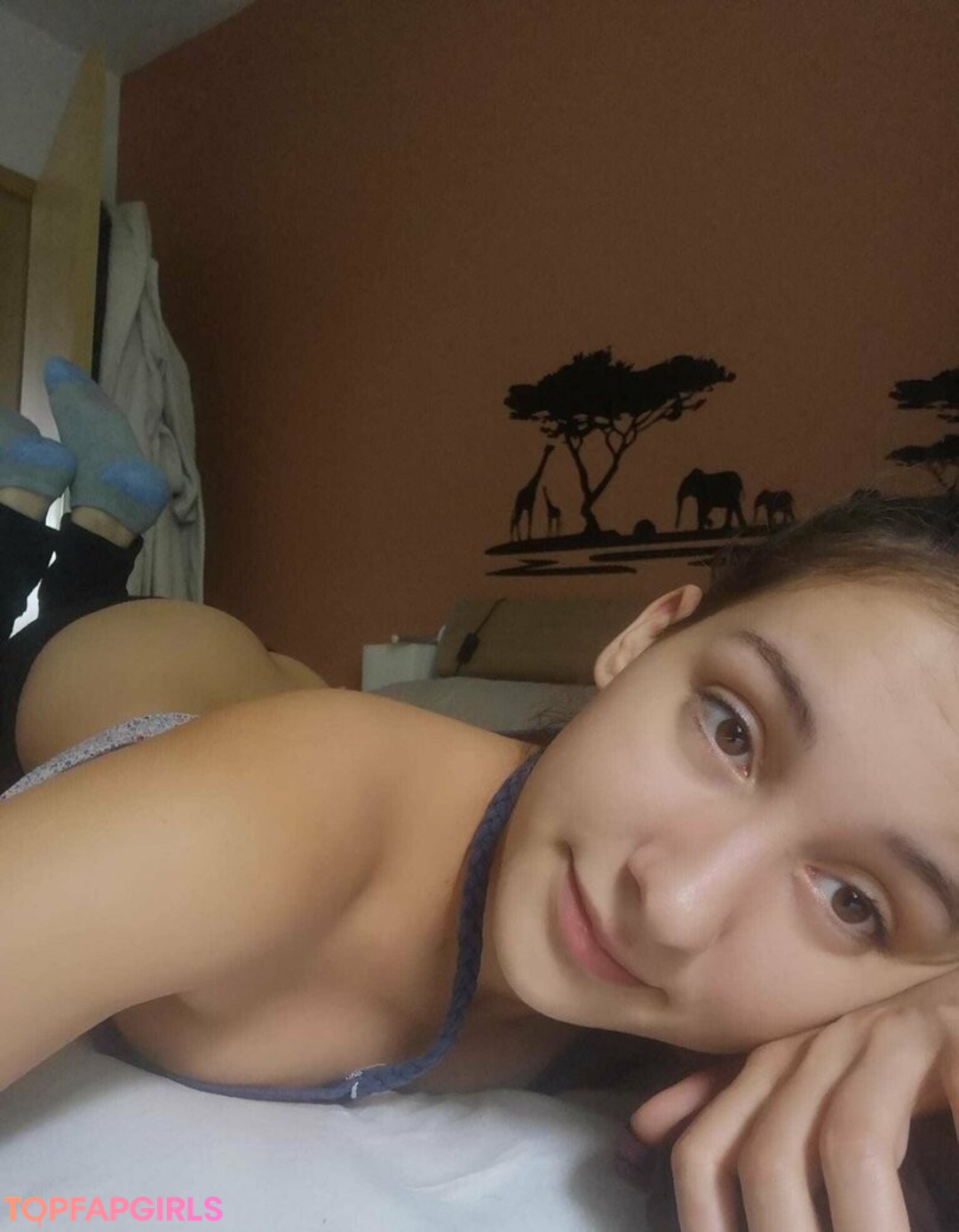 milavisions star perfect images