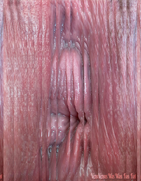 xxlbbw xxx pornstar archive