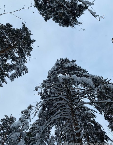 small dick shemale onlyfans free naked galleries