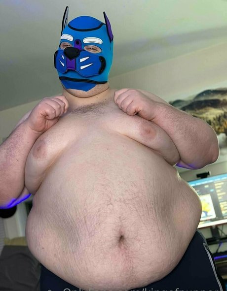 kingofpuppers star nice pictures