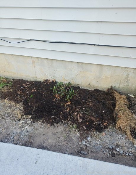 daddy gay onlyfans art xxx photo