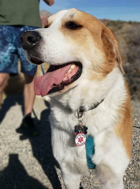 pantyhose onlyfans best galleries