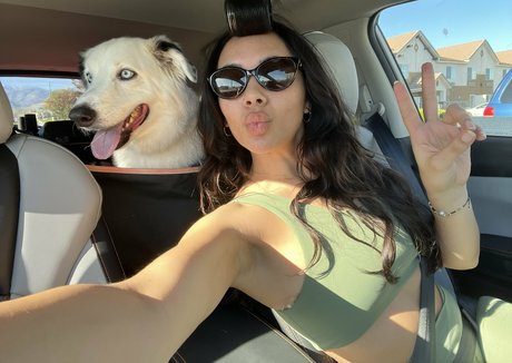 Chellchee pornstar art galleries