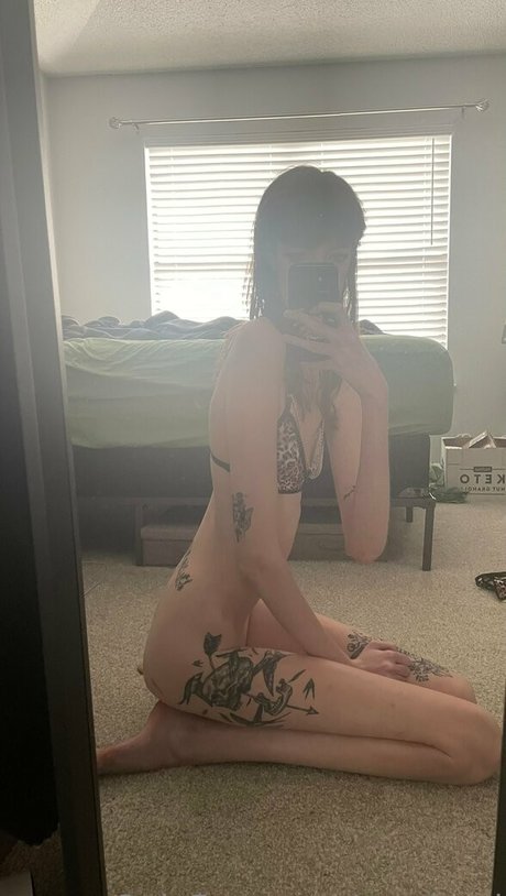 Maci Currin pornographic actress galleries