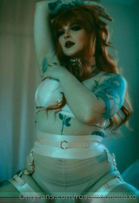 rosamagnoliaxo porn star galleries