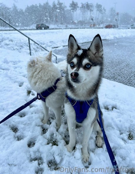 hottest onlyfans sex pictures