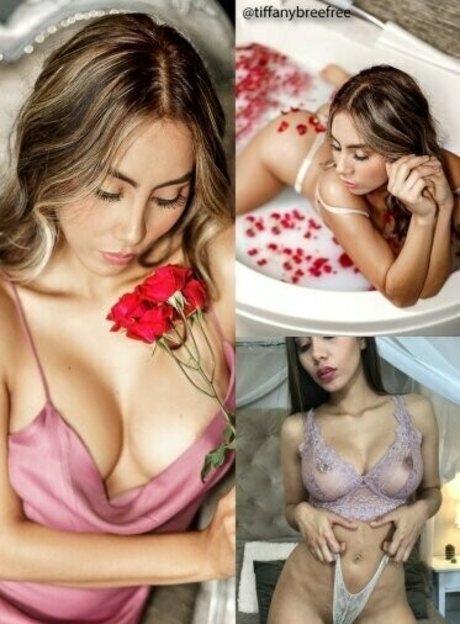 passion babe69 pornstar perfect galleries