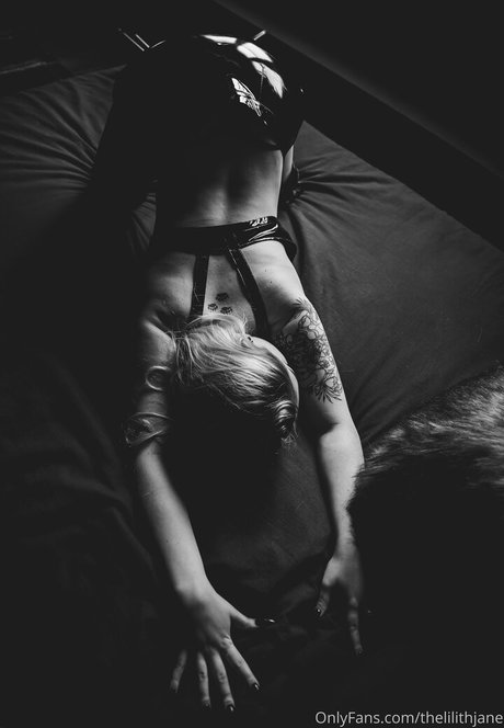 Lilith Jane pornstar galleries