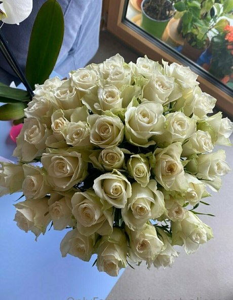 Sweet Aliceee high quality star photos