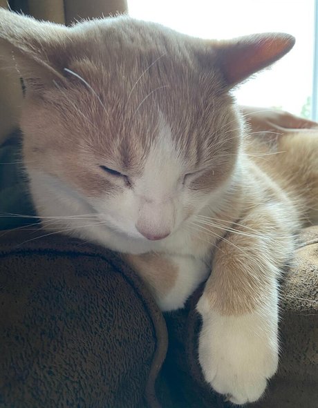 Aelarose nice model photos