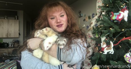 tragedyann pornstar exclusive pics