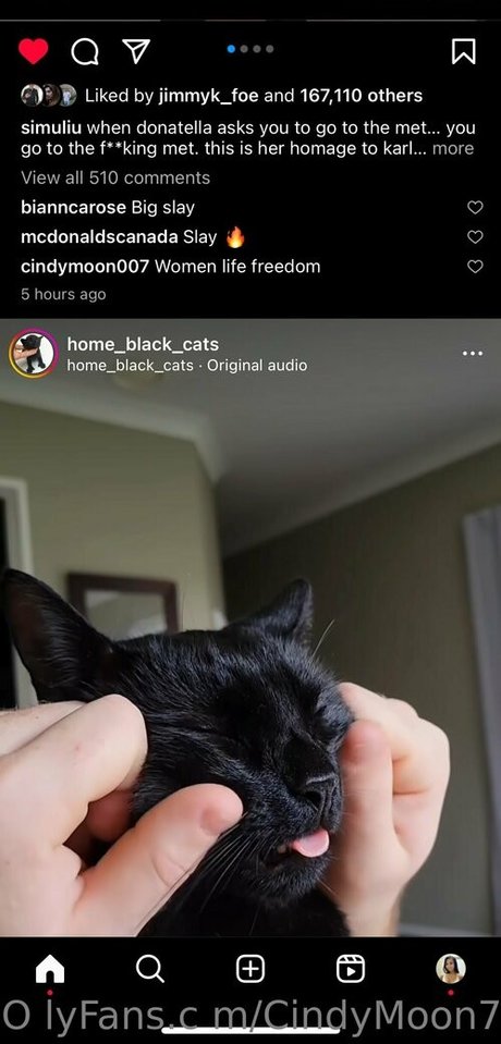 huge shemale onlyfans art porn image