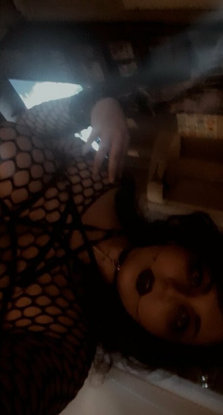 amy insanity pornstar adult archive