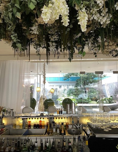 onion onlyfans sexy galleries