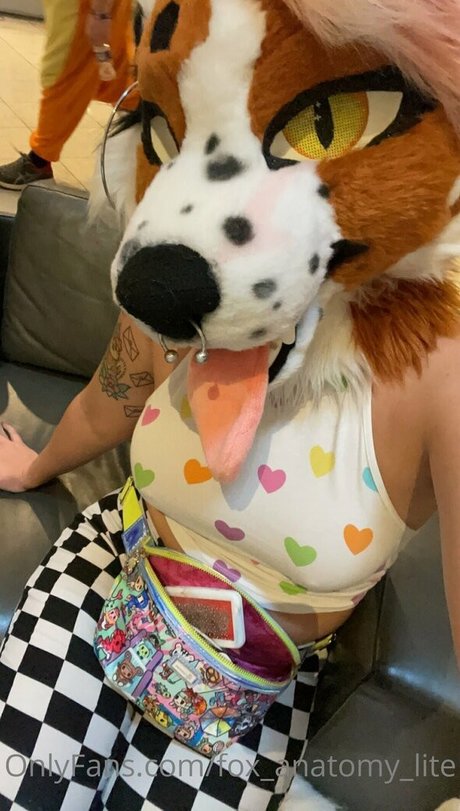 fox anatomy lite nice pornstar pic