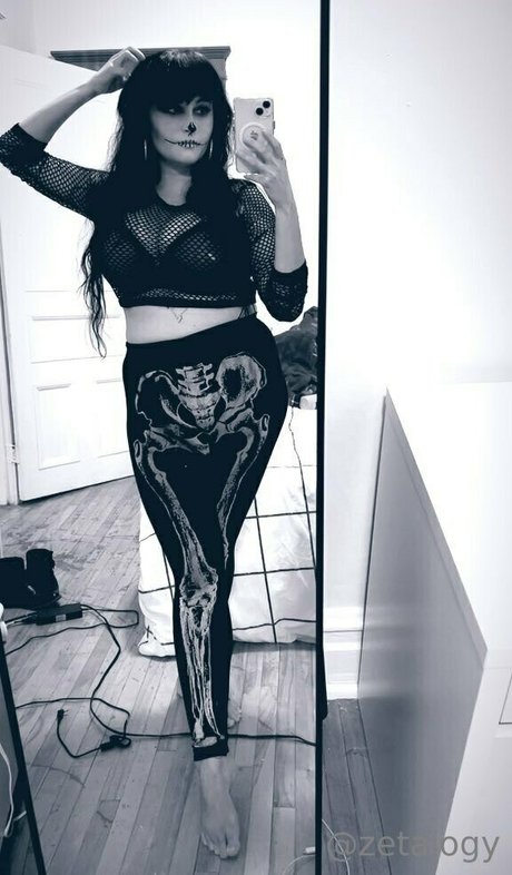 payzeta top model img