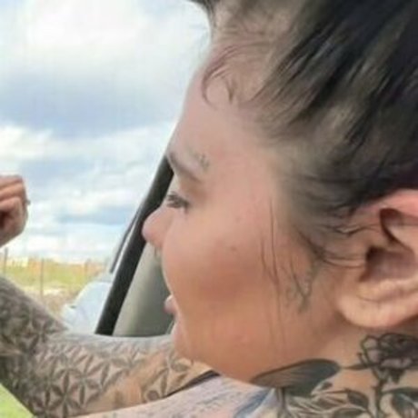 fielaursenfree star hd pic